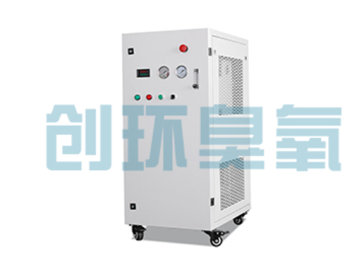 文安石斑鱼养殖水质调控完整指南：臭氧发生器配置与操作步骤