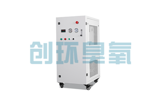 文安比传统换水更高效？臭氧发生器在石斑鱼养殖中的水质净化原理解析